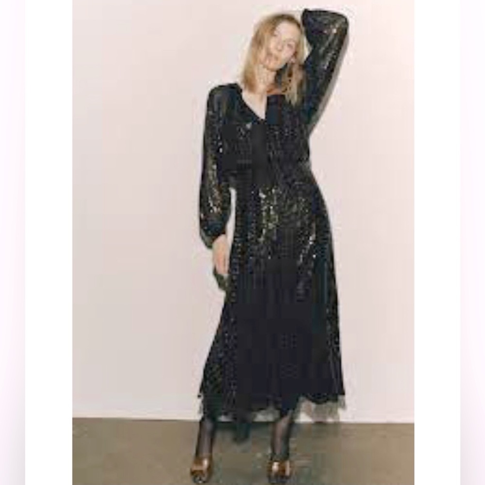 ZARA Limited Edition Sequin Dress - Picture 1 of 16